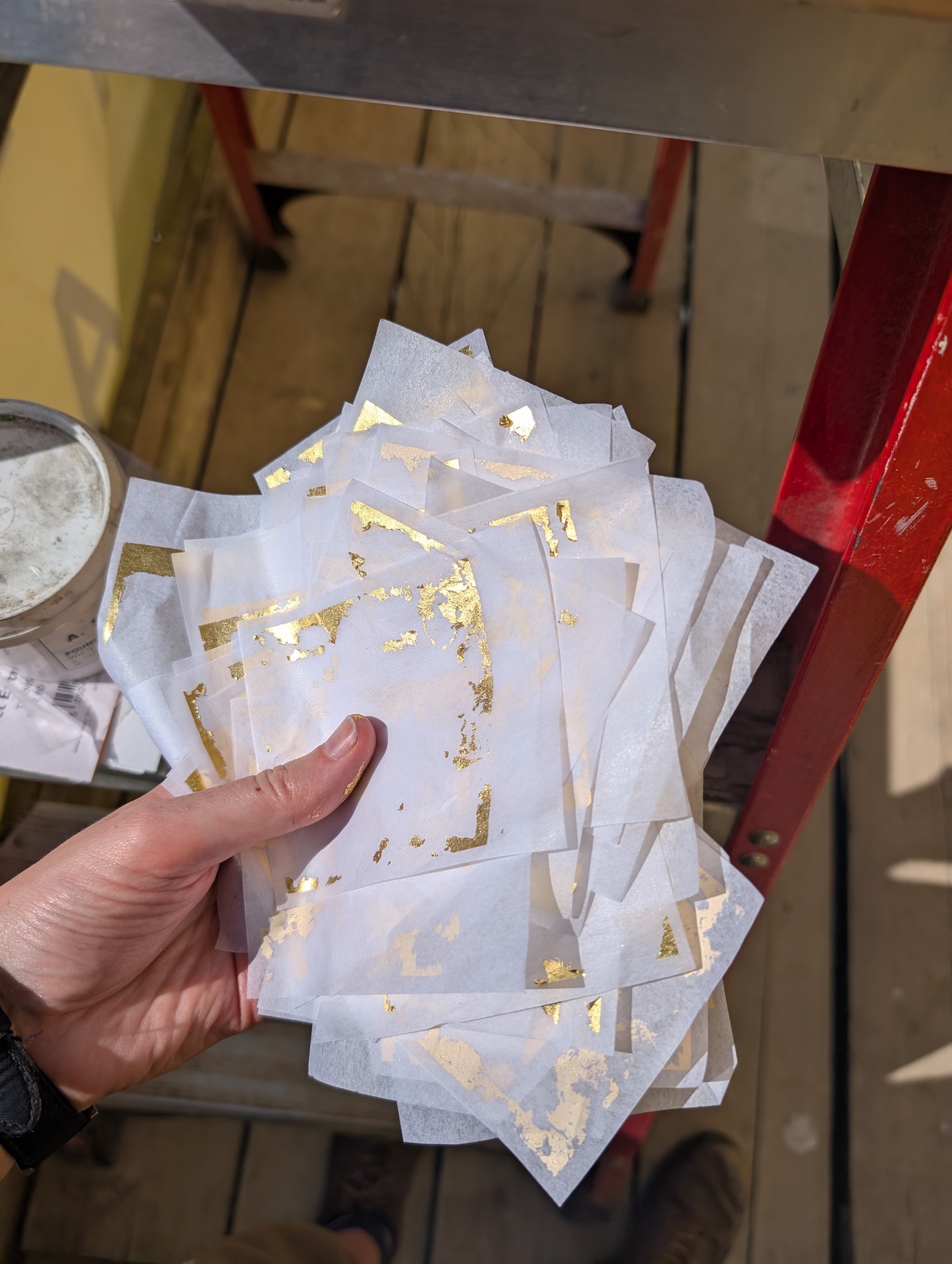 pxl_20250408_134219528